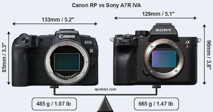 Size Canon RP vs Sony A7R IVA