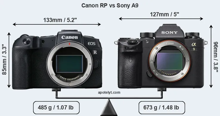 Size Canon RP vs Sony A9