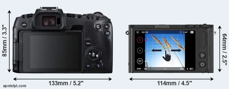 Comparison RP or M1 rear