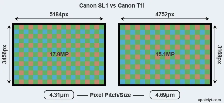 SL1 versus T1i MP