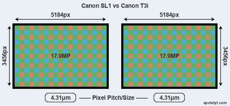 SL1 versus T3i MP