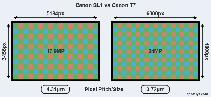 SL1 versus T7 MP