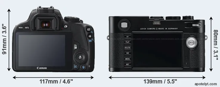 Comparison SL1 or M Typ 240 rear