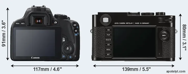 Comparison SL1 or M Typ 262 rear