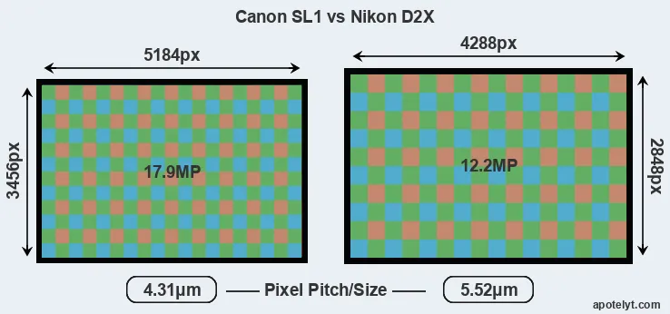 SL1 versus D2X MP