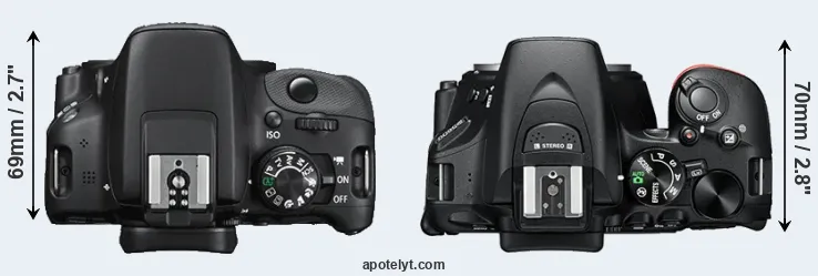 Compare SL1 versus D5600 top