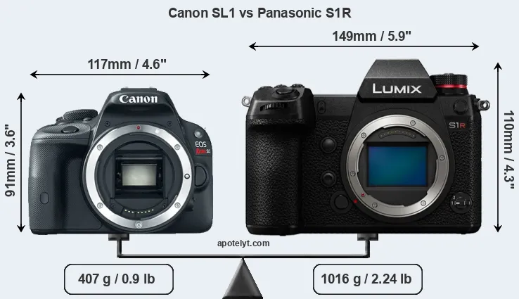 Size Canon SL1 vs Panasonic S1R