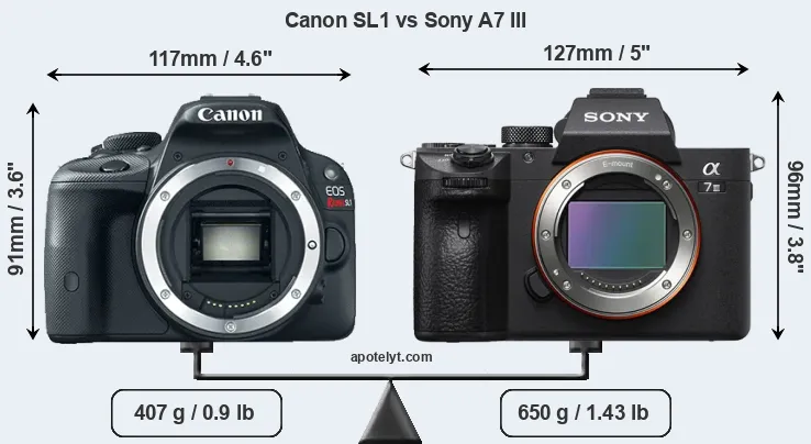 Size Canon SL1 vs Sony A7 III