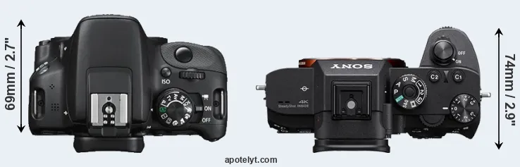Compare SL1 versus A7R III top