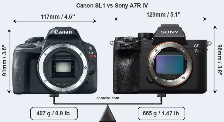 Size Canon SL1 vs Sony A7R IV