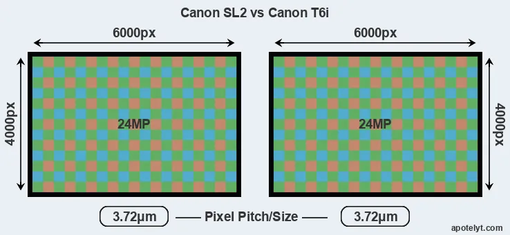 SL2 versus T6i MP