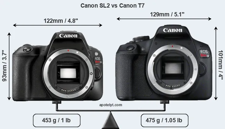 Size Canon SL2 vs Canon T7