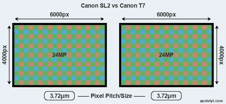 SL2 versus T7 MP