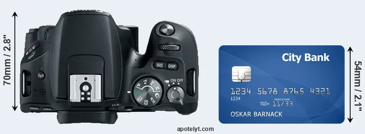 SL2 versus credit card top view
