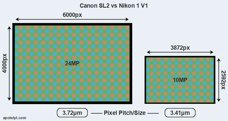 SL2 versus V1 MP