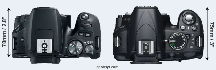 Compare SL2 versus D3100 top