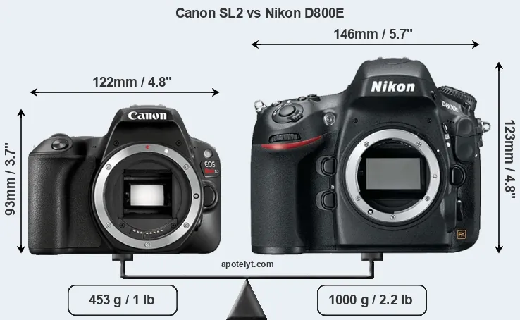 Size Canon SL2 vs Nikon D800E