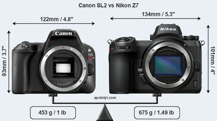 Size Canon SL2 vs Nikon Z7