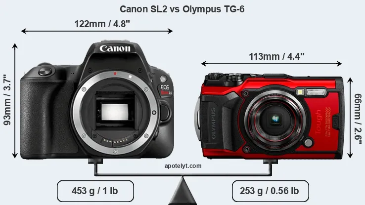 Size Canon SL2 vs Olympus TG-6