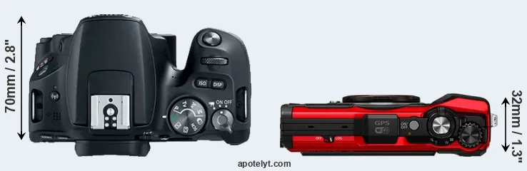 Compare SL2 versus TG-6 top