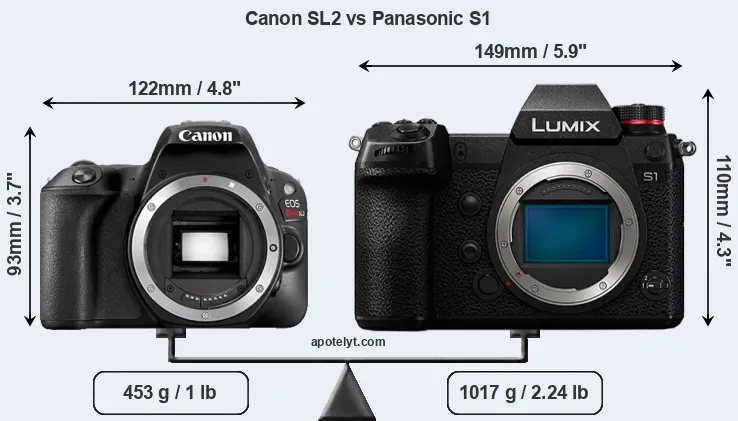 Size Canon SL2 vs Panasonic S1
