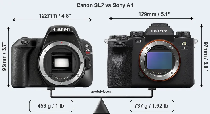 Size Canon SL2 vs Sony A1