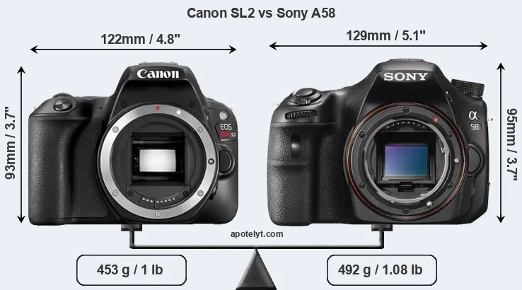 Size Canon SL2 vs Sony A58
