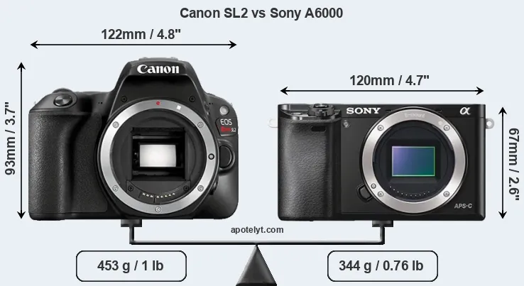 Size Canon SL2 vs Sony A6000