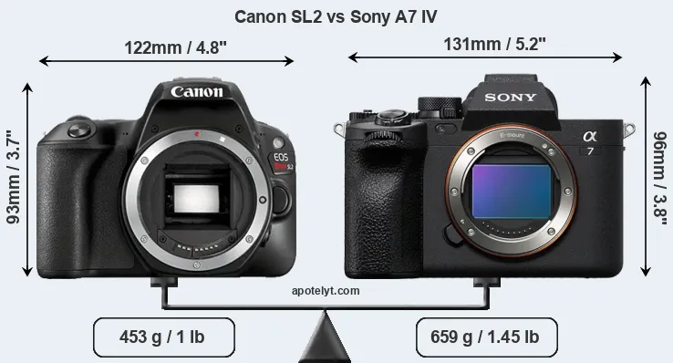 Size Canon SL2 vs Sony A7 IV
