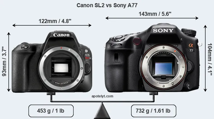 Size Canon SL2 vs Sony A77