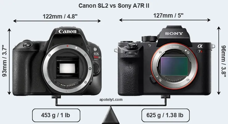 Size Canon SL2 vs Sony A7R II