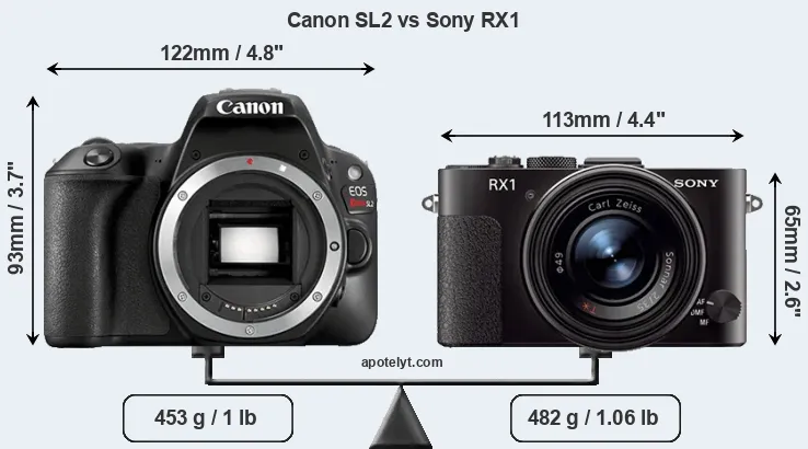 Size Canon SL2 vs Sony RX1