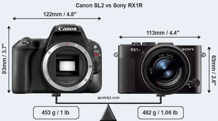 Size Canon SL2 vs Sony RX1R