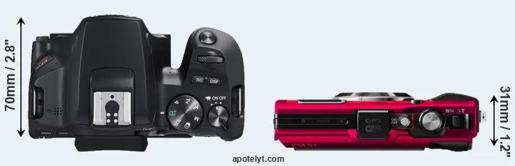 Compare SL3 versus TG-4 top
