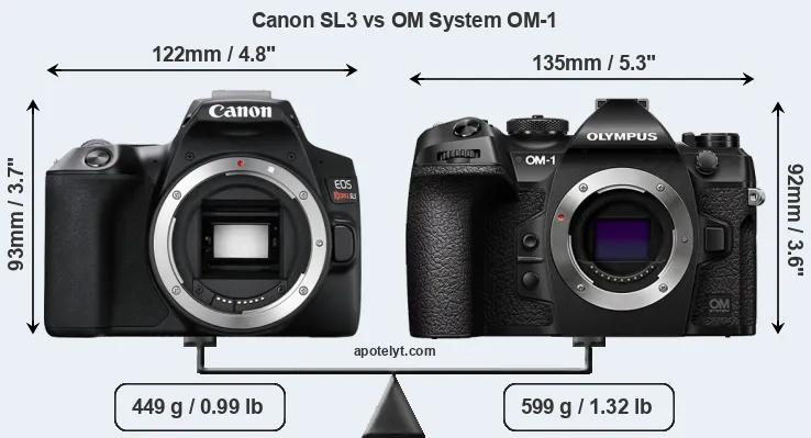 Size Canon SL3 vs OM System OM-1