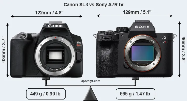 Size Canon SL3 vs Sony A7R IV