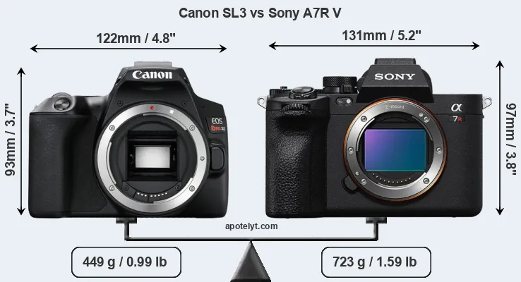Size Canon SL3 vs Sony A7R V