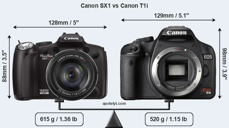 Size Canon SX1 vs Canon T1i