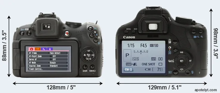 Comparison SX1 or T1i rear