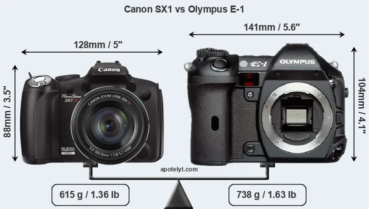Size Canon SX1 vs Olympus E-1