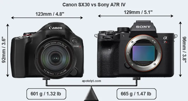 Size Canon SX30 vs Sony A7R IV