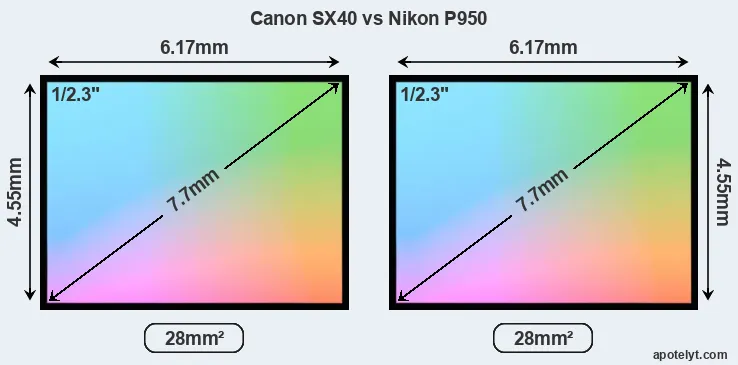 Canon SX40 and Nikon P950 sensor measures