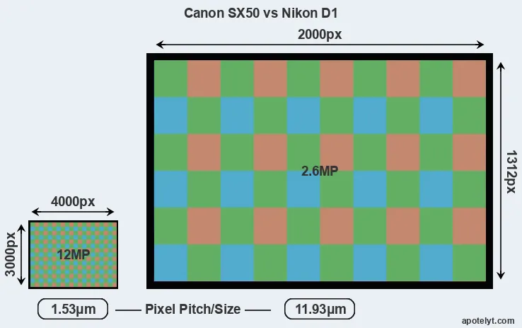 SX50 versus D1 MP