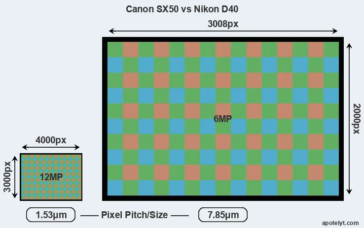 SX50 versus D40 MP