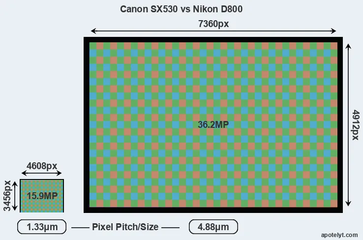SX530 versus D800 MP