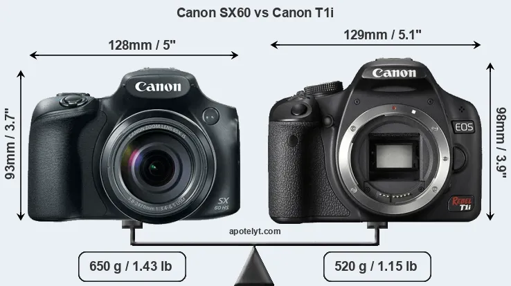 Size Canon SX60 vs Canon T1i