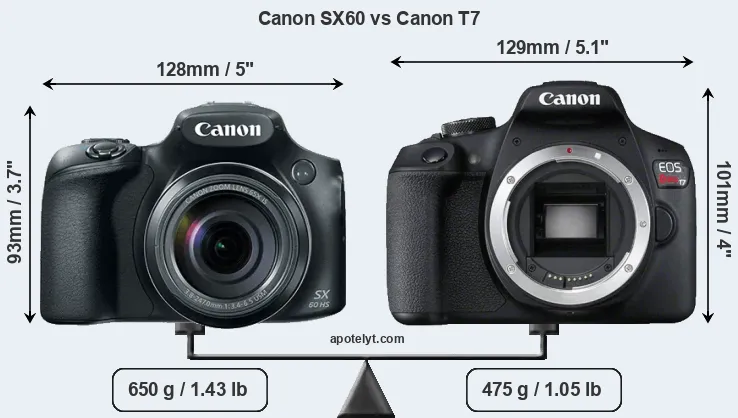 Size Canon SX60 vs Canon T7