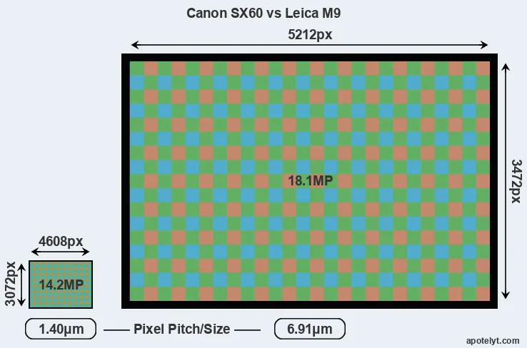 SX60 versus M9 MP