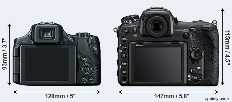 Comparison SX60 or D500 rear