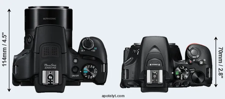 Compare SX60 versus D5600 top